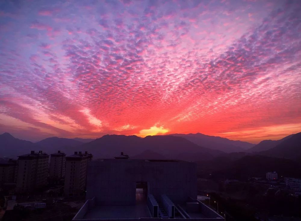 章秀丽 摄 小布特地收集了这些美好的瞬间与你分享, 太阳落山的时候