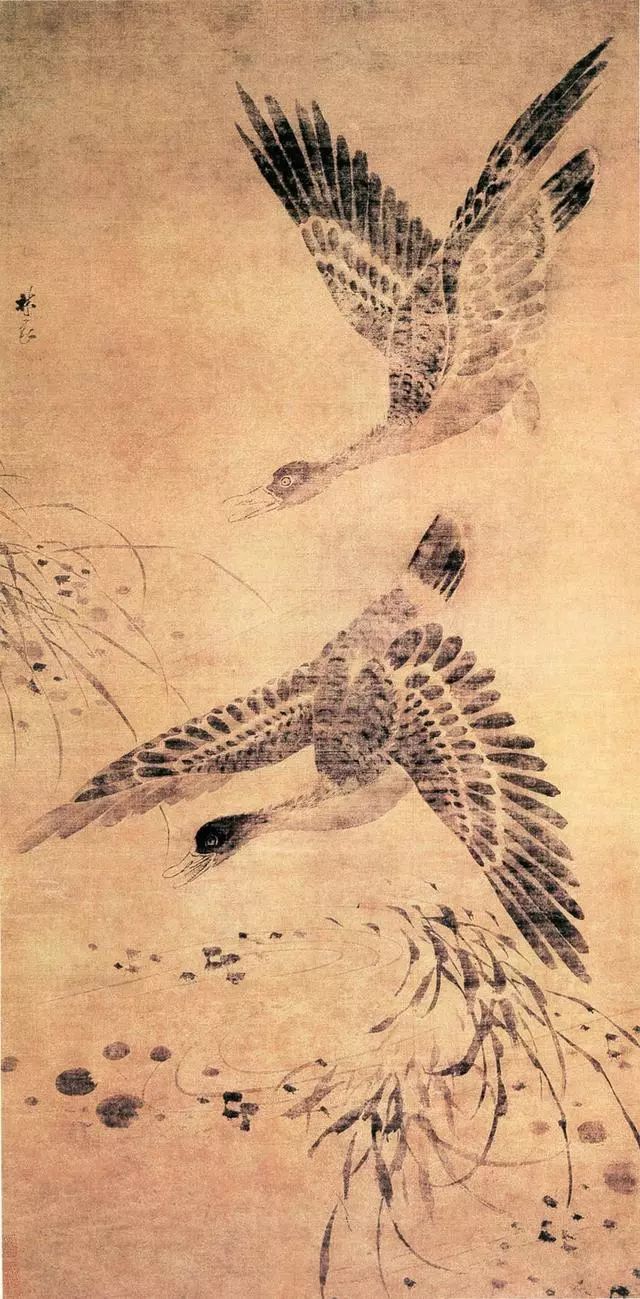 国画名家明代画家林良花鸟画作品欣赏