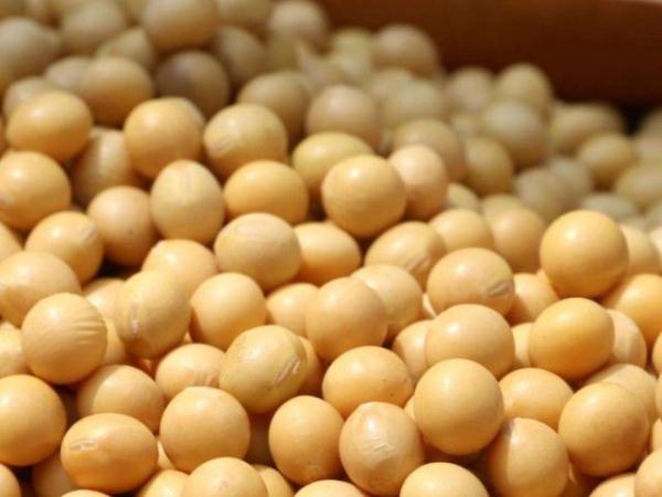 什么食物能补充孕激素 cbaa4683b7db49b791487c99397cb87d.jpeg