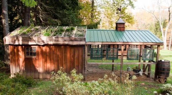 20款经典乡村庭院鸡舍设计方案,美观与实用同在!