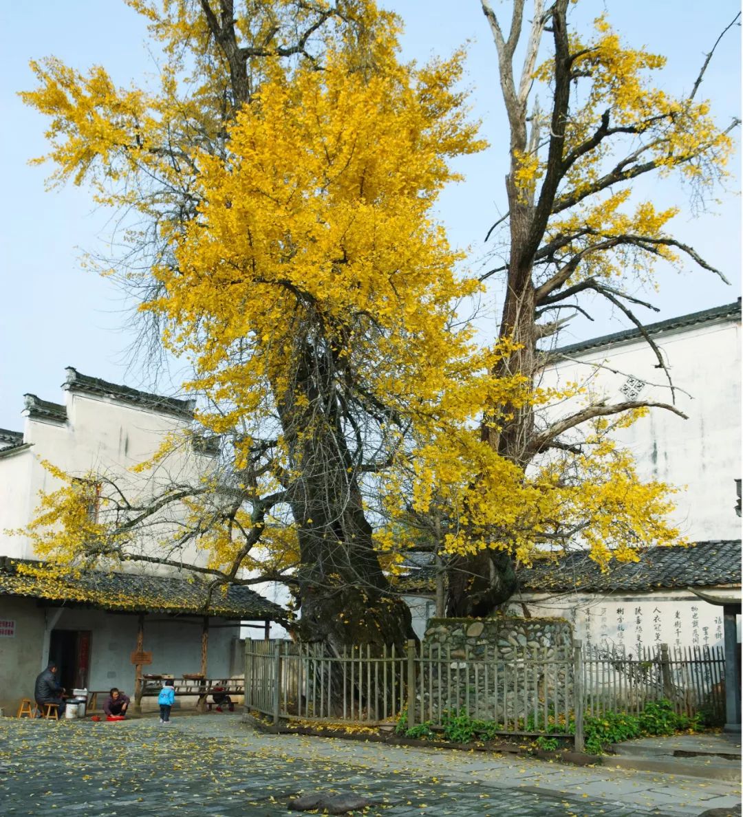 徽州去哪了？｜ 神州风物