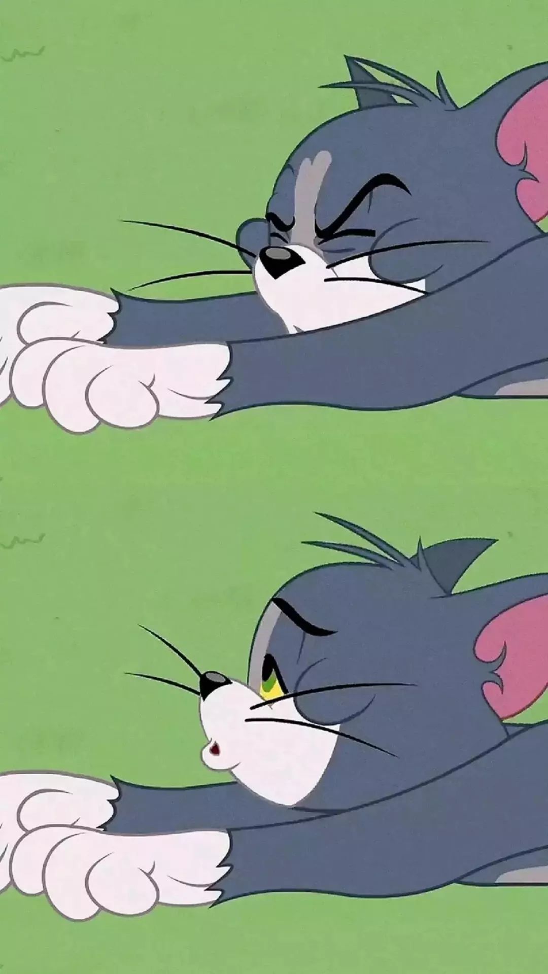 汤姆猫人口_汤姆猫头像