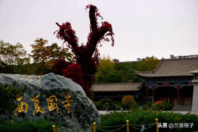 保存最完整的西夏皇家寺院张掖大佛寺 建筑