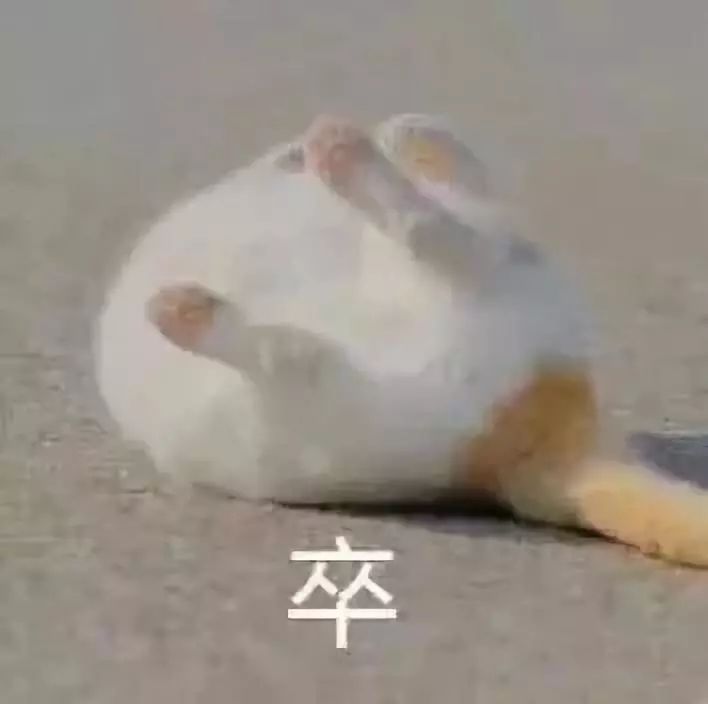 医学生| 抗打击段位不高的看完如有不适,请抱紧自己!