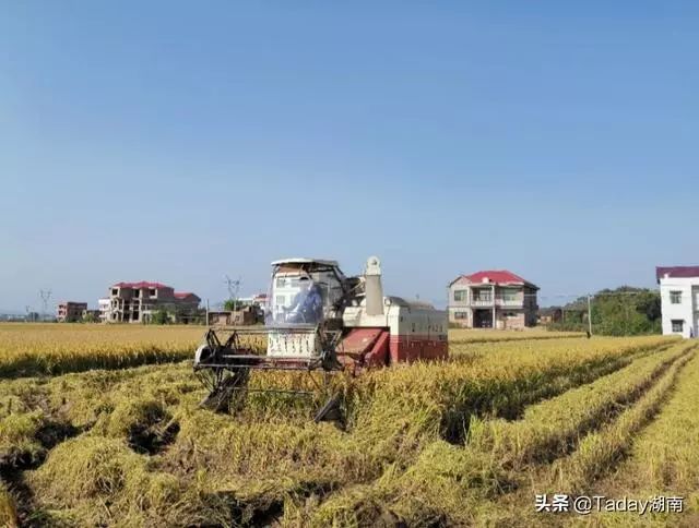 衡东县霞流镇人口数量_衡东县草市镇毛坪小学(3)