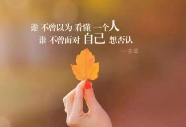 心情不好的句子个性签名伤感句子百无一用是深情不屑一顾最相思