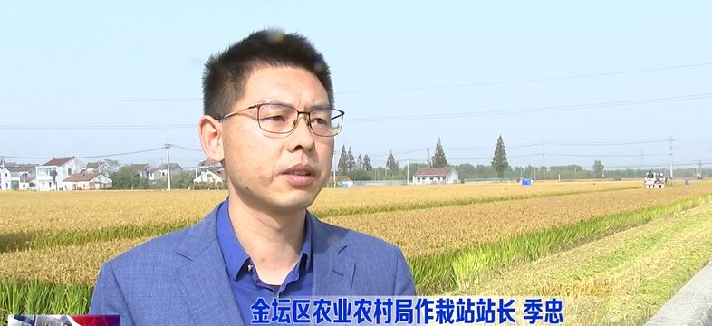 金坛区农业农村局作栽站站长 季忠栽插之后田间的管理措施特别是关键