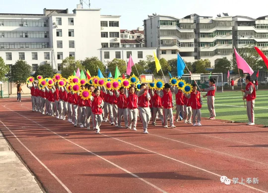 运动壮体魄共筑中国梦奉新县五小第九届运动会