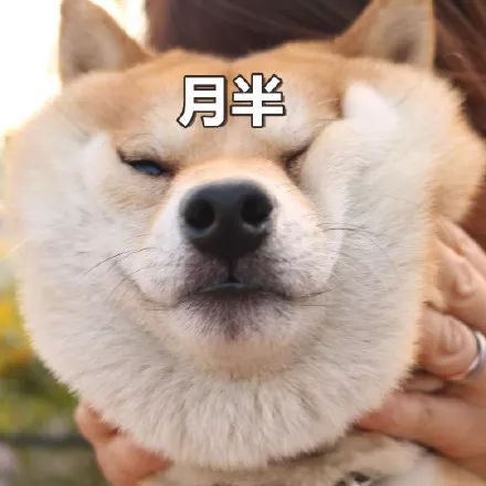 听说每个设计师手里都有一套柴犬表情包