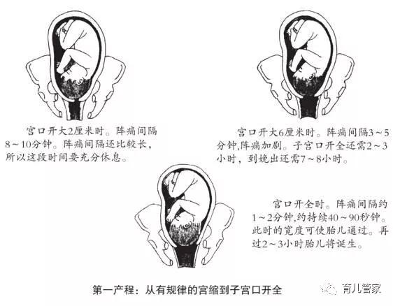 5cfab14418d04dcbbf7ec3f2538f5ee9.JPG