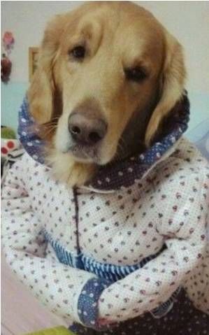 扩散!宝坻家里暖气还不热的朋友们别着急,好消