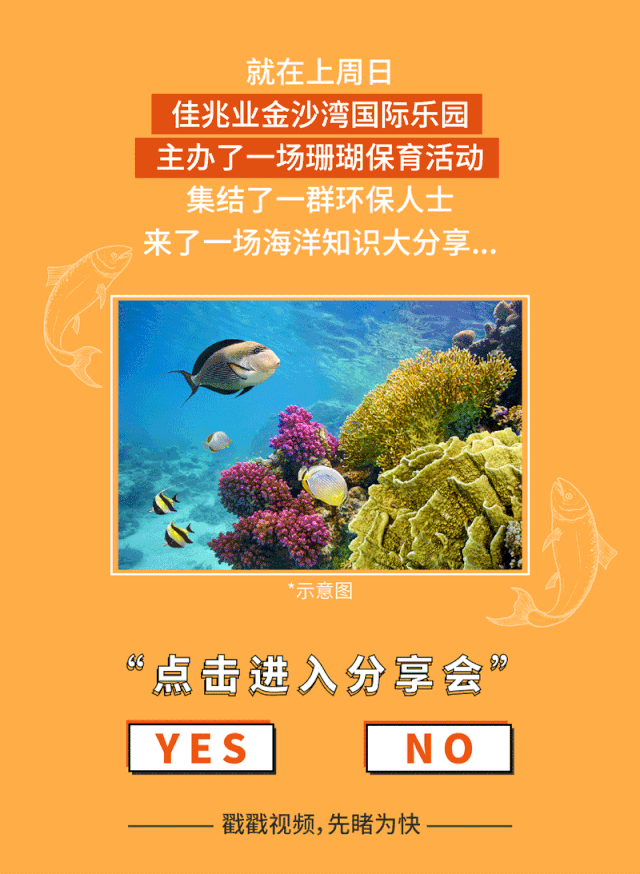640_874 竖版 竖屏