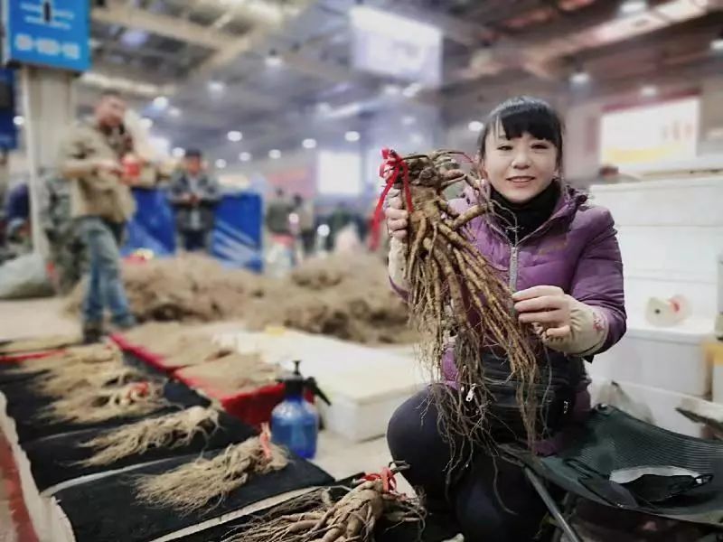 亚洲人参集散地万良人参市场交易红火