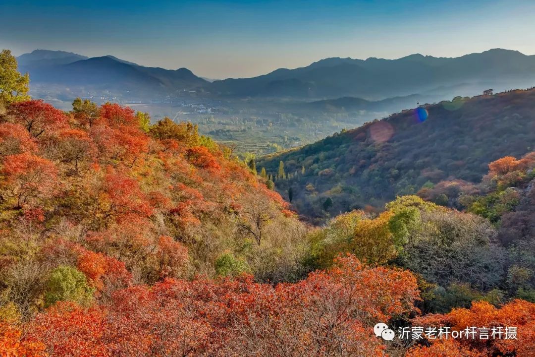 临沂有一片没有被开发的红叶谷蒙阴龙头崮红叶正是欣赏好时候