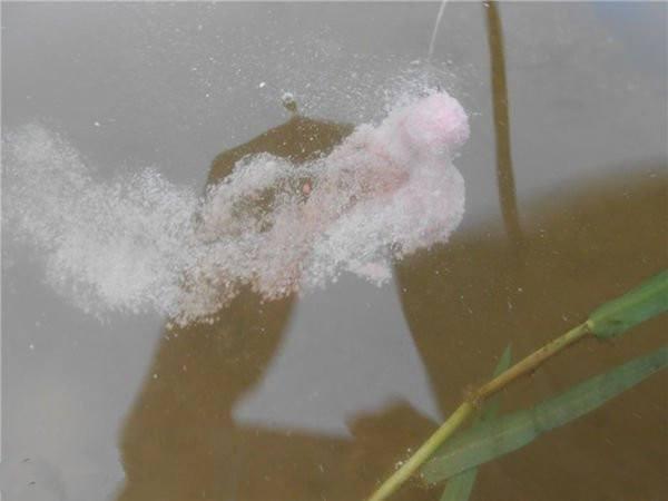 水漂是什么意思 a7251066e4304888b4653ab9a7e848e6.jpeg