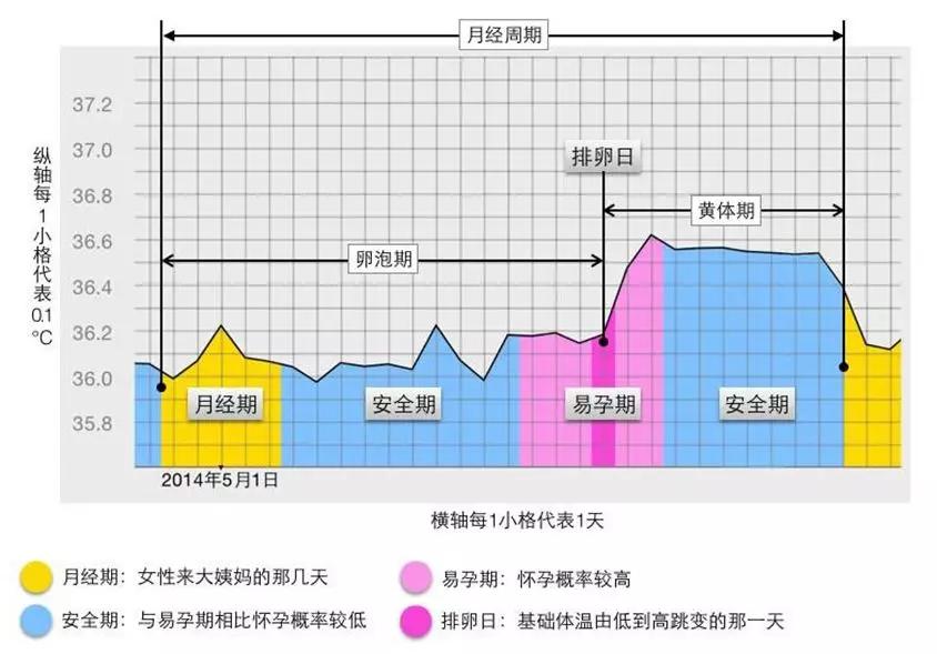 什么情况下打低分子肝素保胎原理_打低分子肝素的位置图(3)
