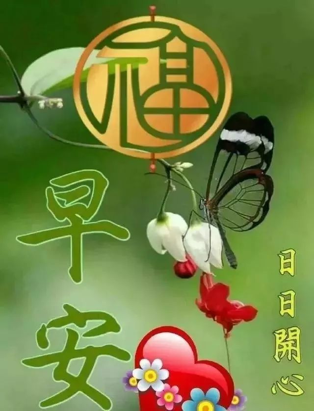 新的11月早上好问候语图片集锦 朋友圈最新早安祝福语