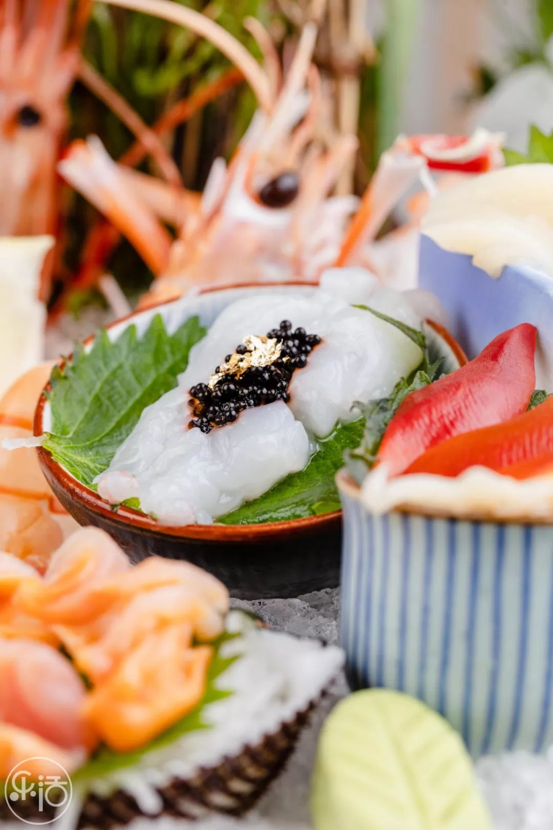 资深日料老饕认证!精熬8h的胶原果冻,开店5年