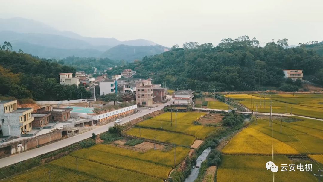 云安美丽乡村高村镇这两条村小桥流水风景优美