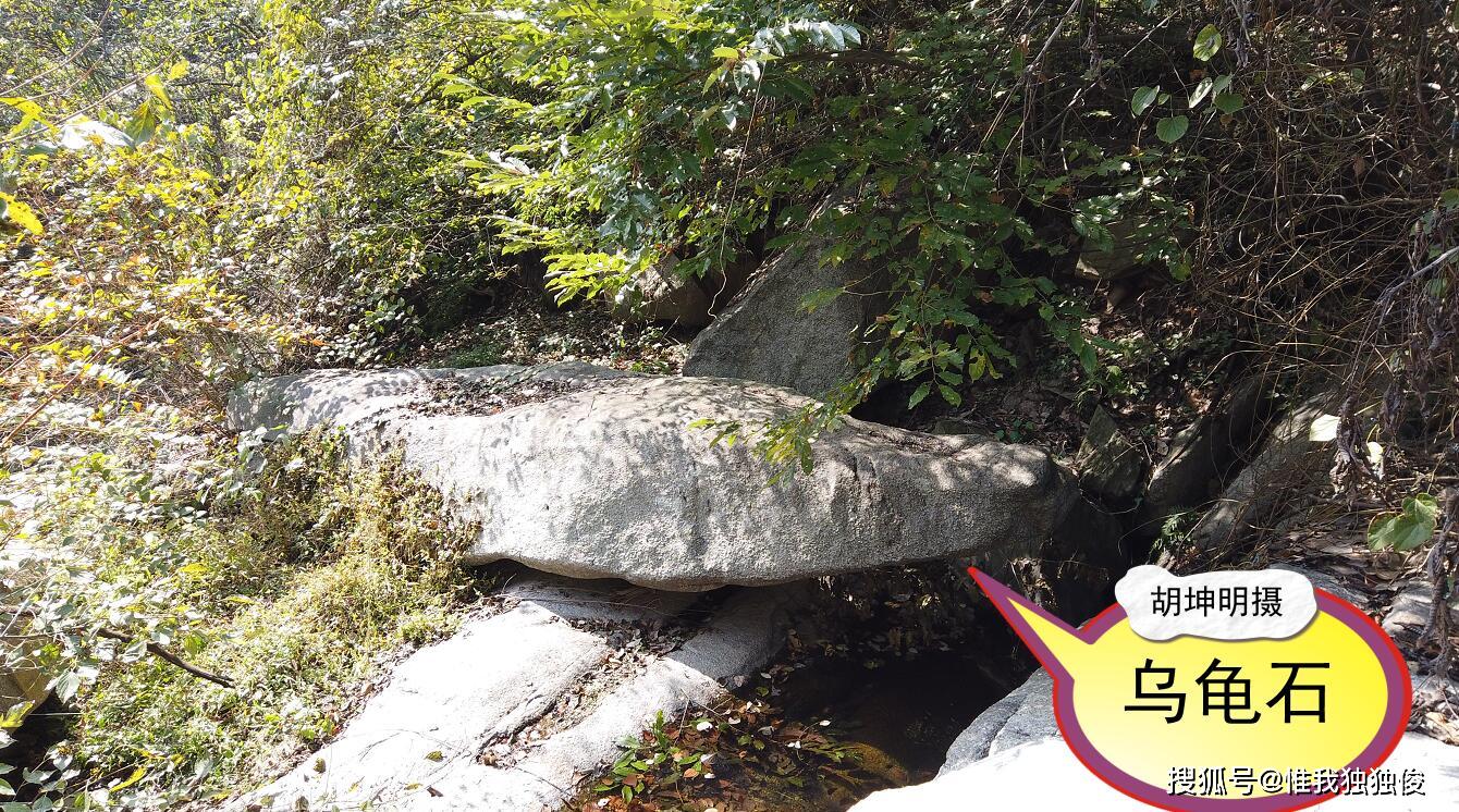 悲惨乌龟石(随州檀山村系列民间传说9)