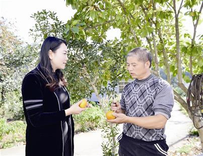 大学毕业回乡创业 电商带领村民致富