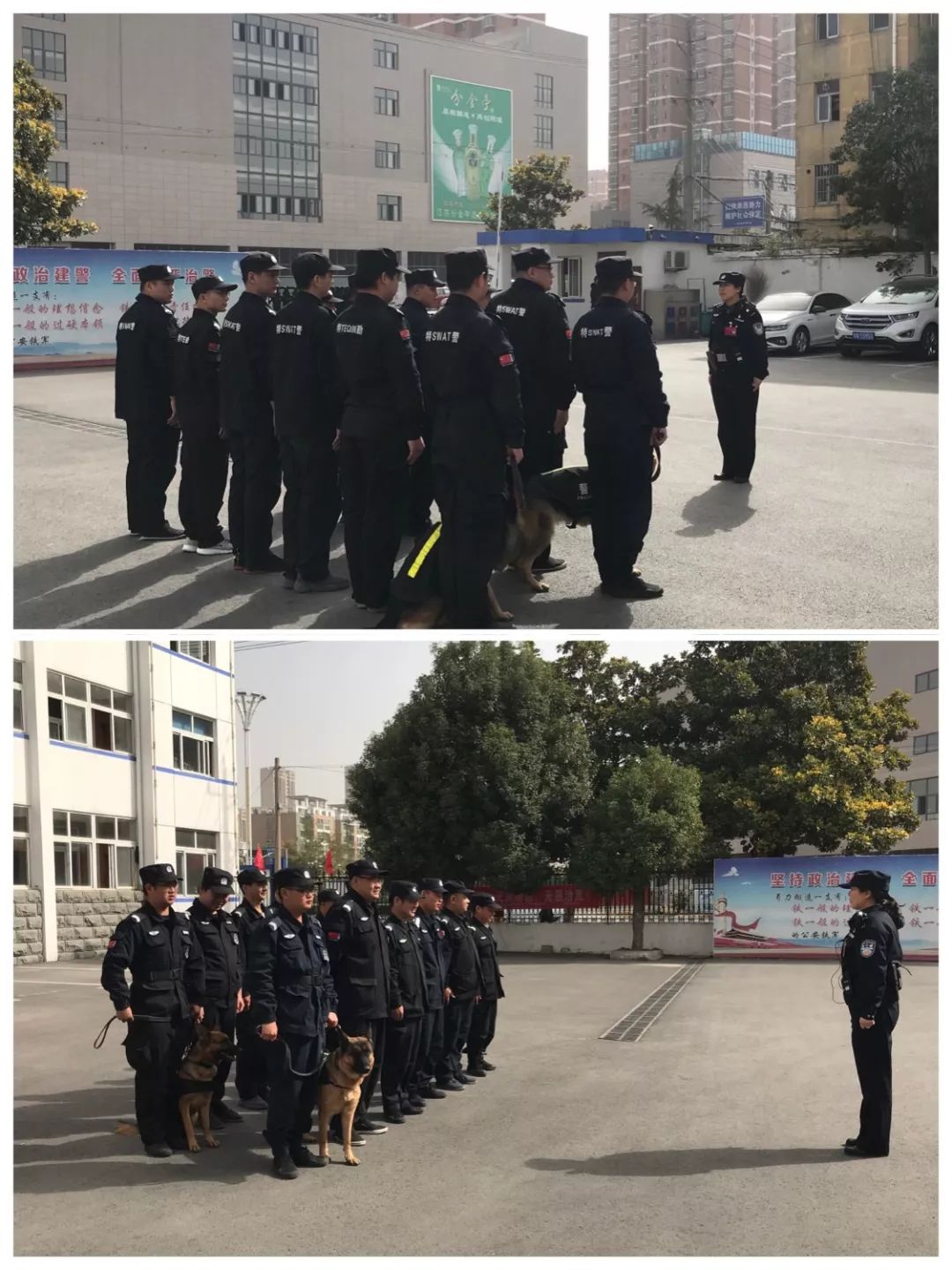 派出所是公安局派出去的吗 ec83eae7a88d41b4824ca5af7c25ea4e.jpeg