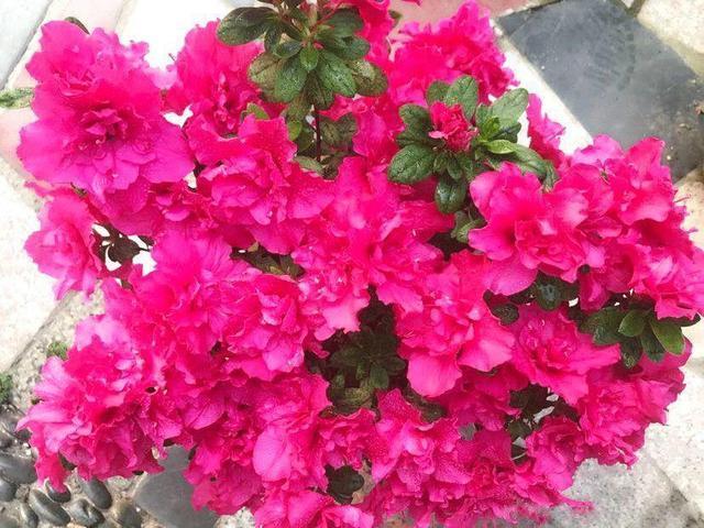 fe5b715ed13941f6bfaa3d255e8361e7.jpeg