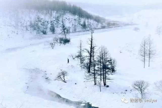 ▌weibo诺恩吉雅 冬 冬季,银装素裹,冰雪连天,神奇壮观.