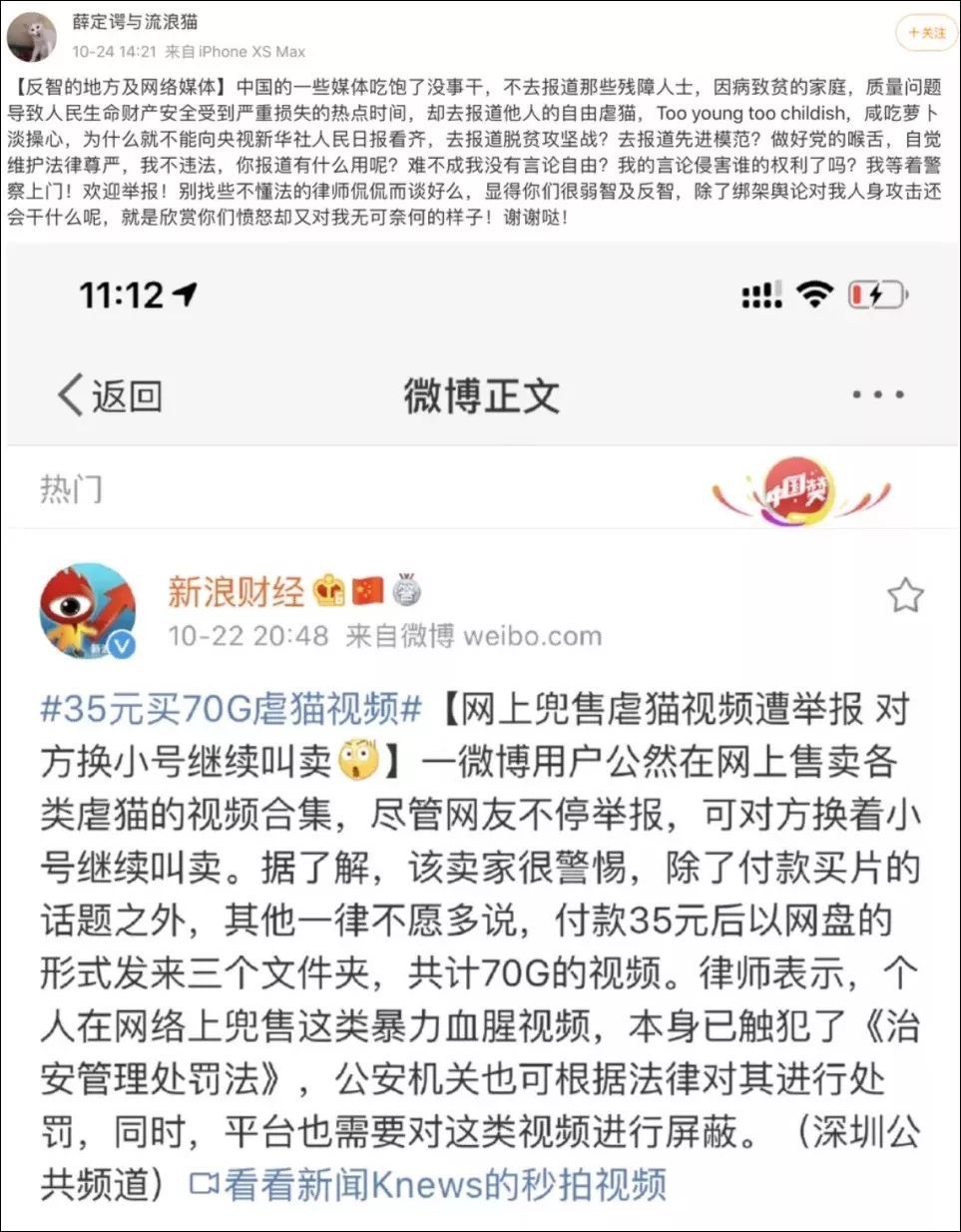 微博上有人出售虐猫视频,这背后是一个产业链