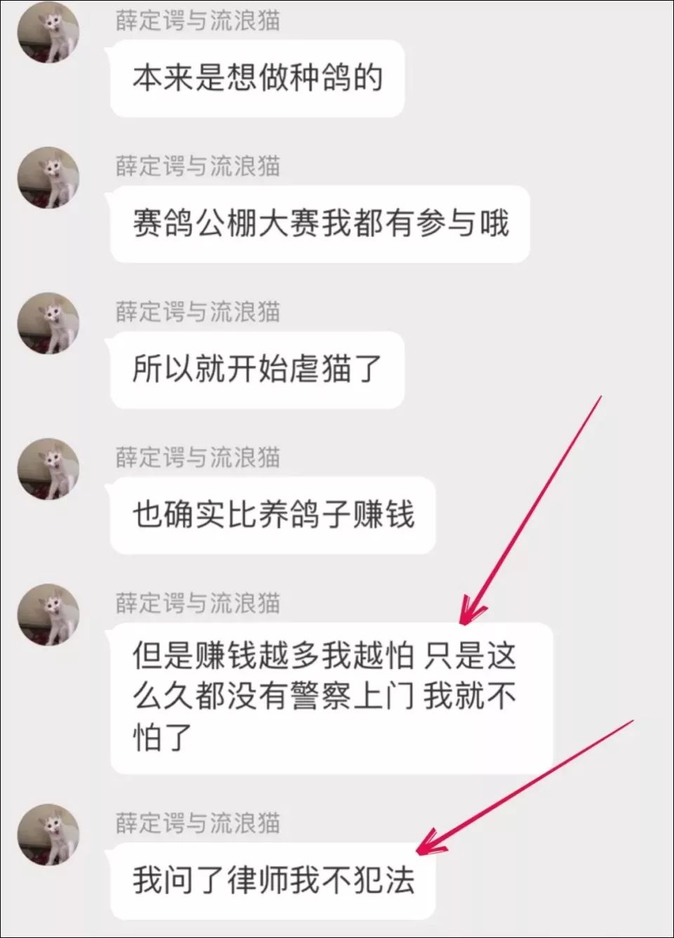微博上有人出售虐猫视频,这背后是一个产业链