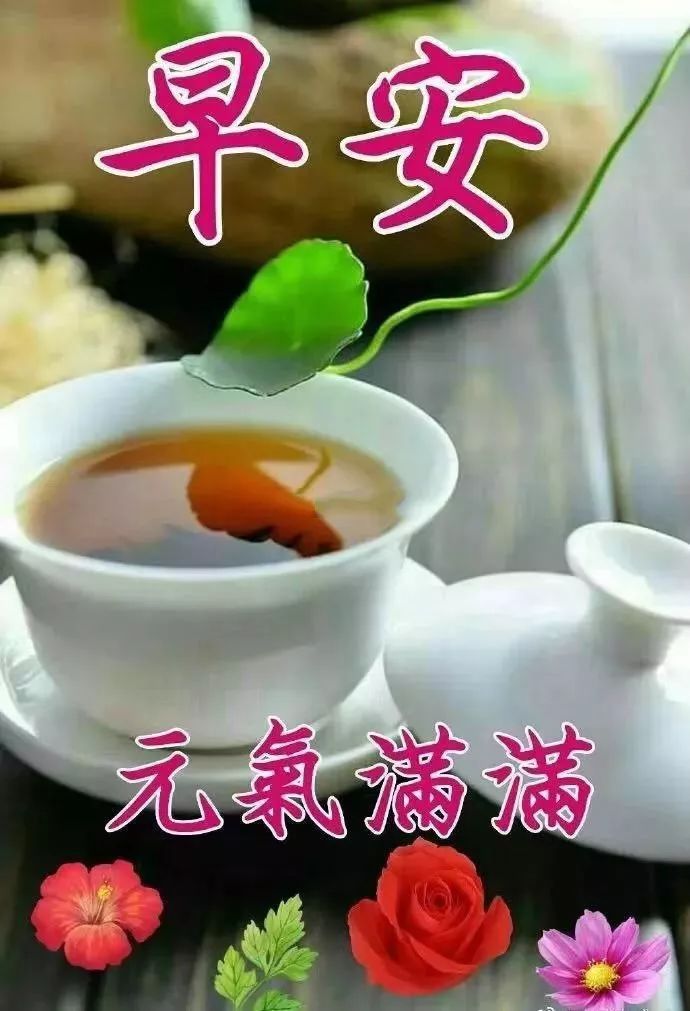 十一月早上好,新版的早上好祝福句子图片资料大全