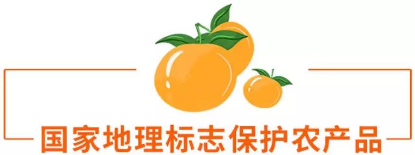 仁化丹霞贡柑即将上市品牌logo及卡通形象由你决定还有