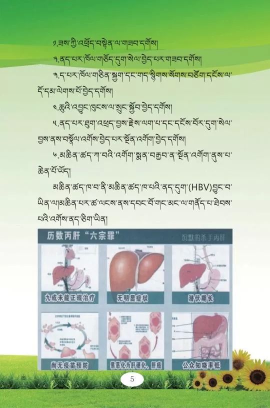 以包虫病为主的四大疾病综合防治知识(四)