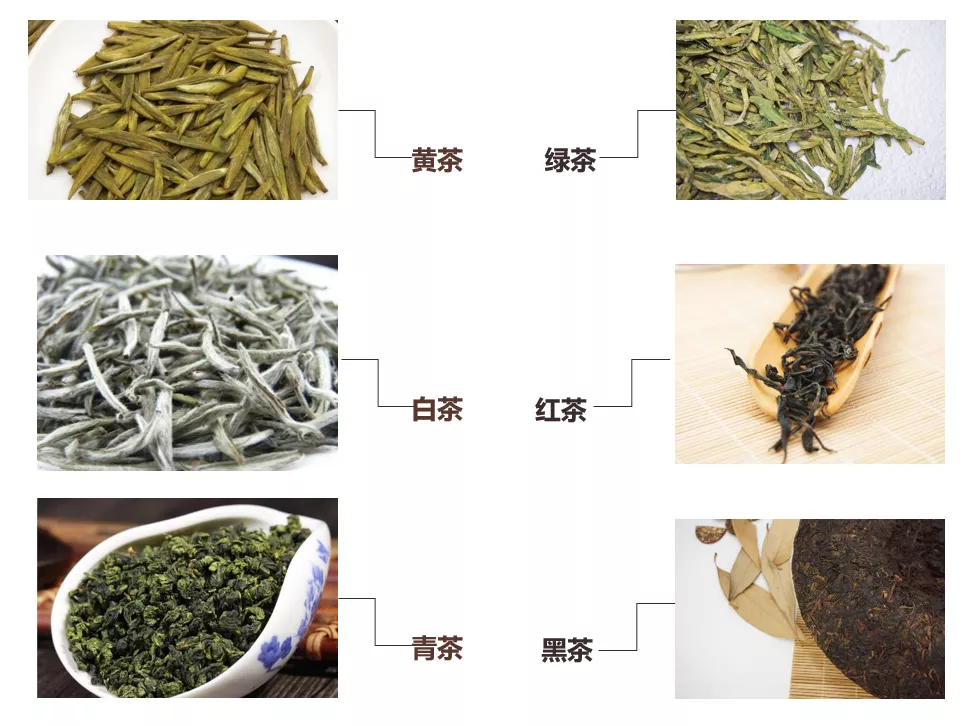 茶叶基础知识几千种茶叶总共分为哪几类