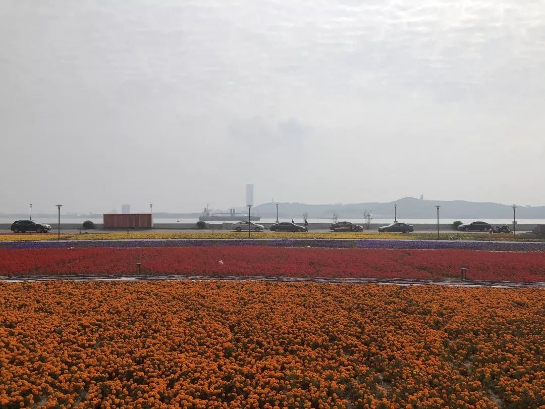 靖江市经济总量_靖江市滨江学校图片(3)