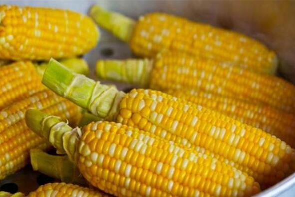 如何选玉米面条 3f86b0ac3969495fa65b4277eb17ba24.jpeg