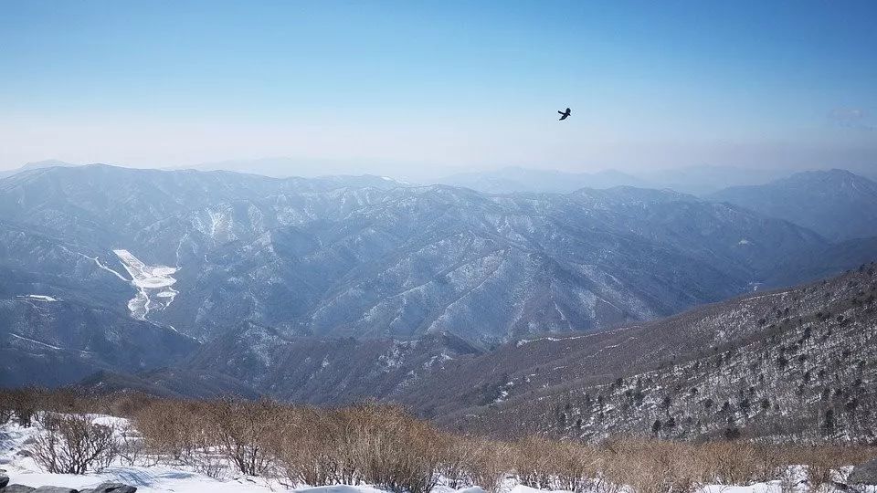 国家人口排行榜最少_人口排行榜