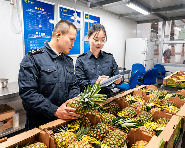 “吃”在进博会｜巴拿马金菠萝首次大批量运抵中国，共21吨
