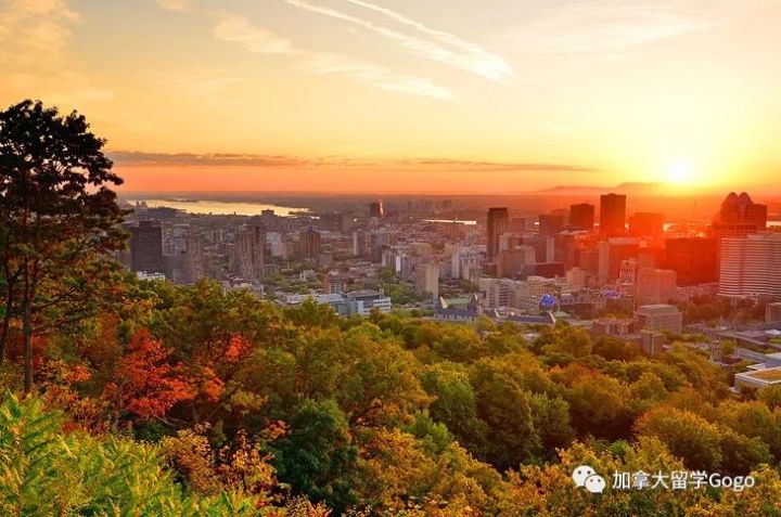 重磅官宣!11月1日加拿大魁省PEQ移民政策变