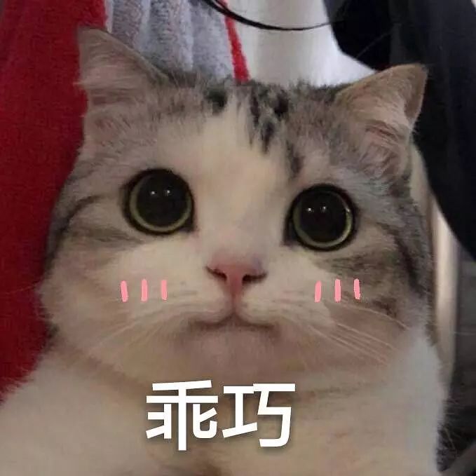 一点儿都不好玩表情包 82505b7f4fdc49a3b49d3b98dfed9879.jpeg