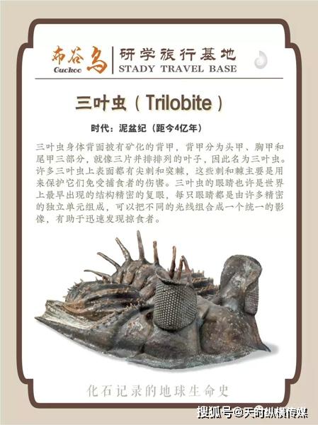 布谷鸟是怎么产生的 8b715939d5c947dea2af207646b9c270.jpeg