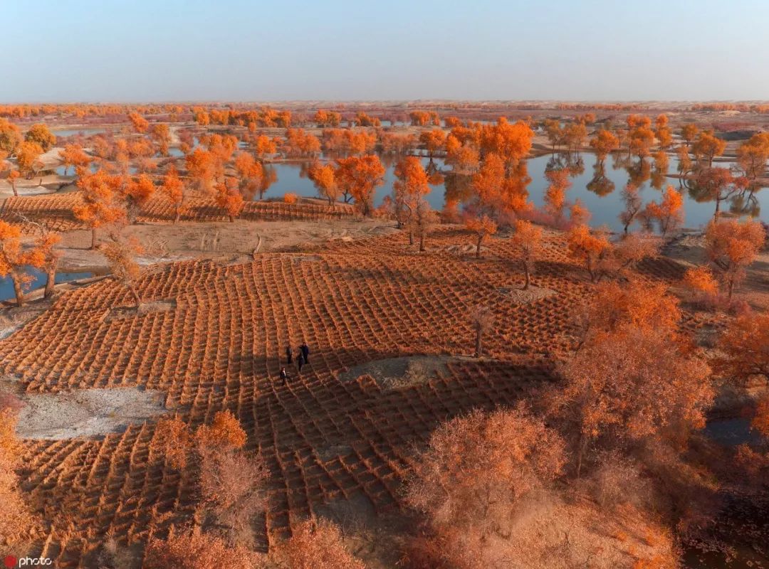 尉犁县人口_尉犁县地图全图