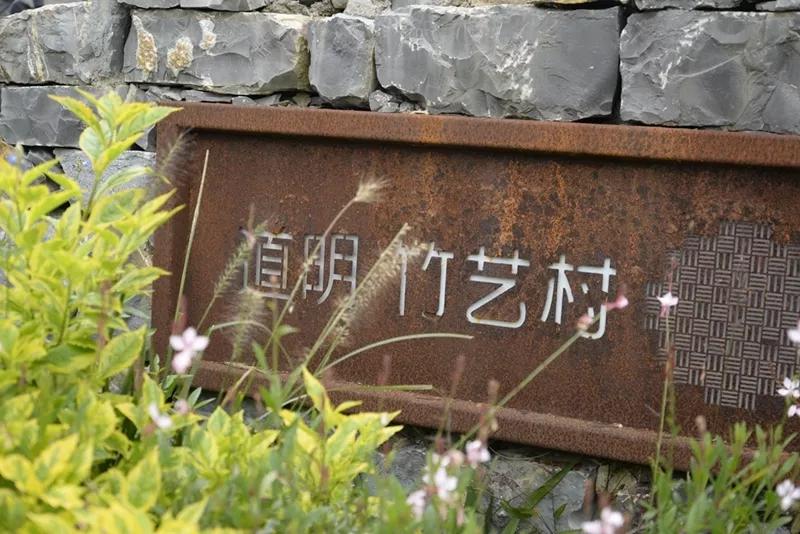 崇州竹艺村来了一群巴西知名大v