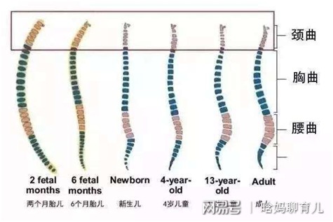 晗妈聊育儿：无数妈妈称赞的宝宝“神器”，虽然好用但很多家长都用错啦！