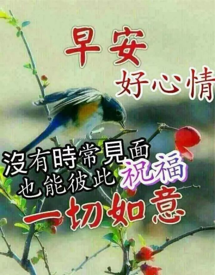 11月1日问候早上好图片带字动态表情早上好问候祝福语录句子