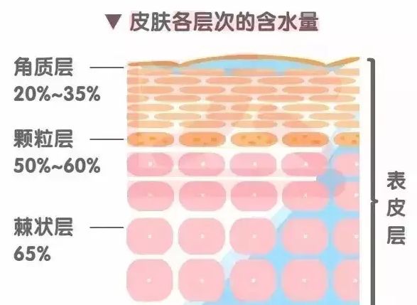 举个例子,两个皮肤同样白的人,但如果肌肤角质层含水量不同,那展现出