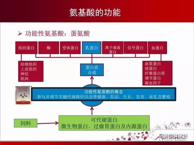 论坛文章连载1瘤胃保护性蛋氨酸美斯特的最新研究进展及氨基酸平衡在