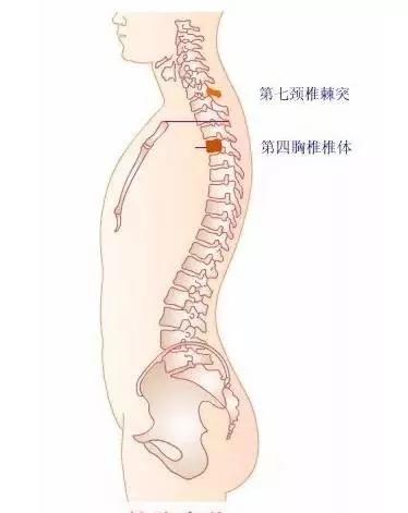 人口椎体_素描椎体