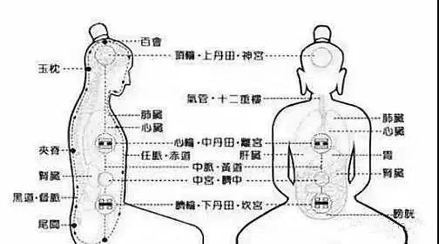 ff40e3294e284d749cc242517cbbe3a0.jpeg
