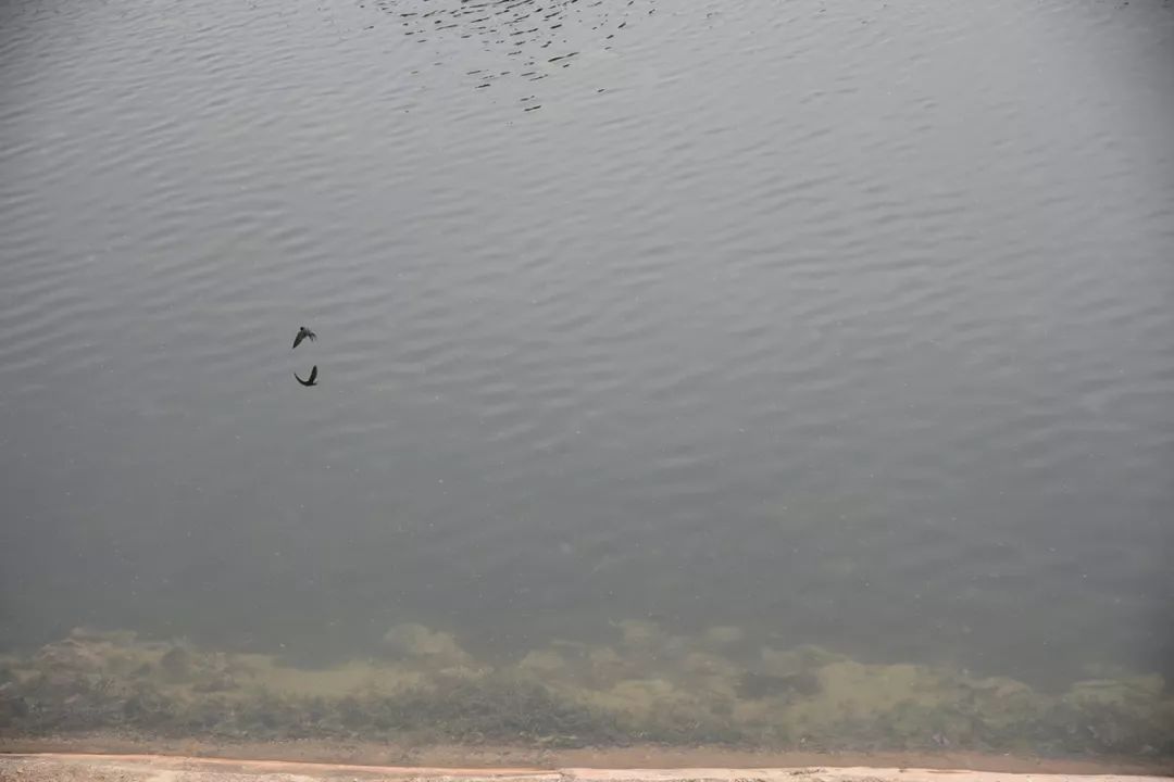 儿时的鲹鱼河